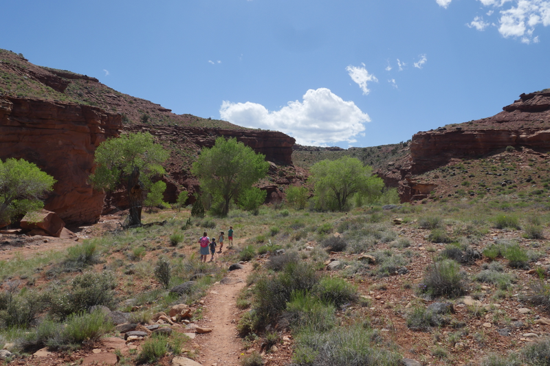 Illustration for article titled Capitol Reef - A not overlanding post